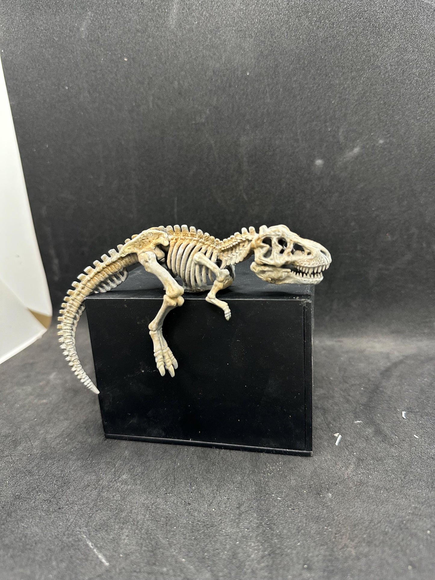 Dinosaur Skeleton Corner Decor – T-Rex Fossil Statue – Desk Setup Accessory – Monitor Corner Display – Resin Miniature – Gamer Room Decor