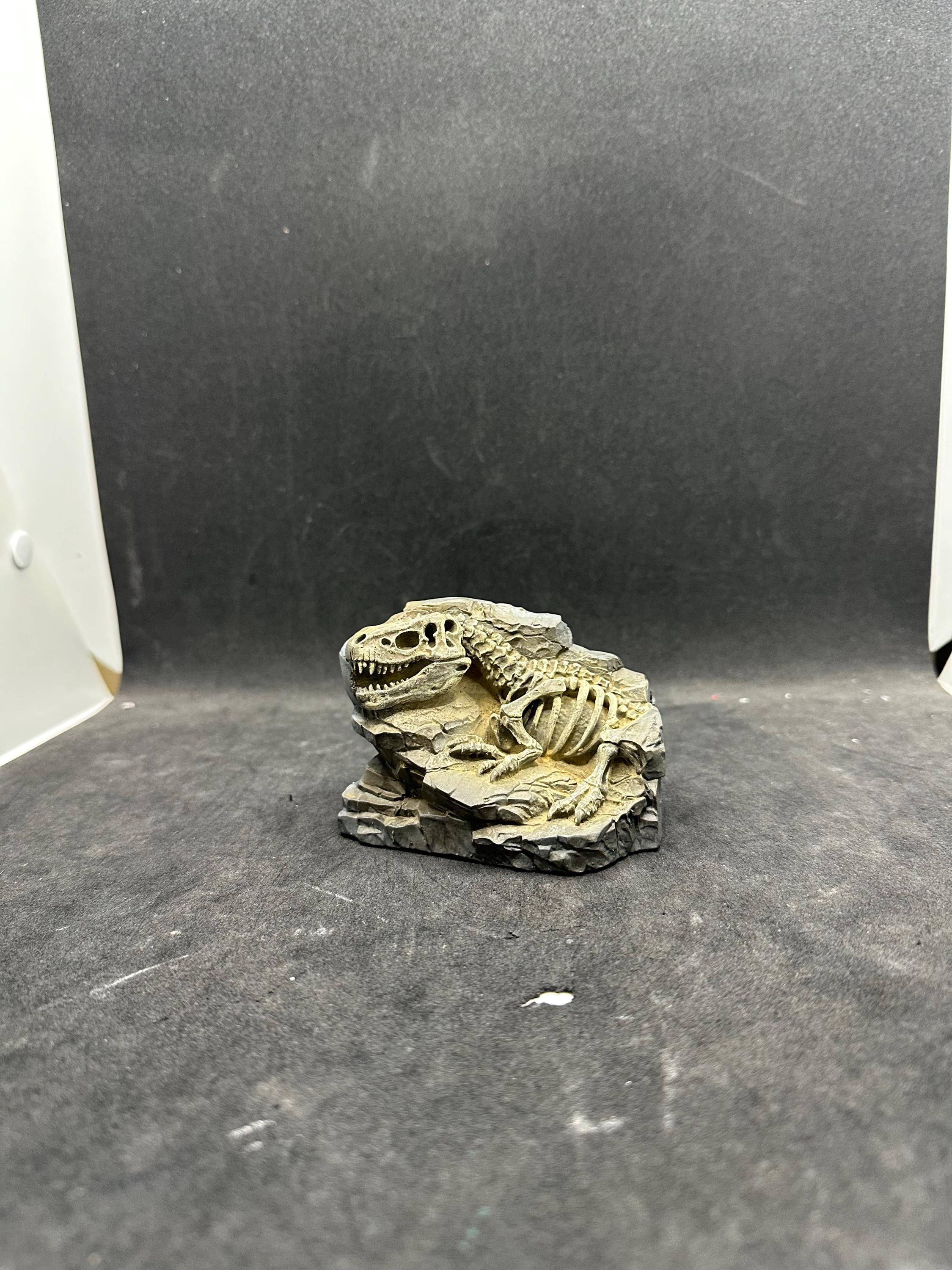 Hand-Painted T-Rex Fossil Sculpture – Museum Quality Paleontology Decor