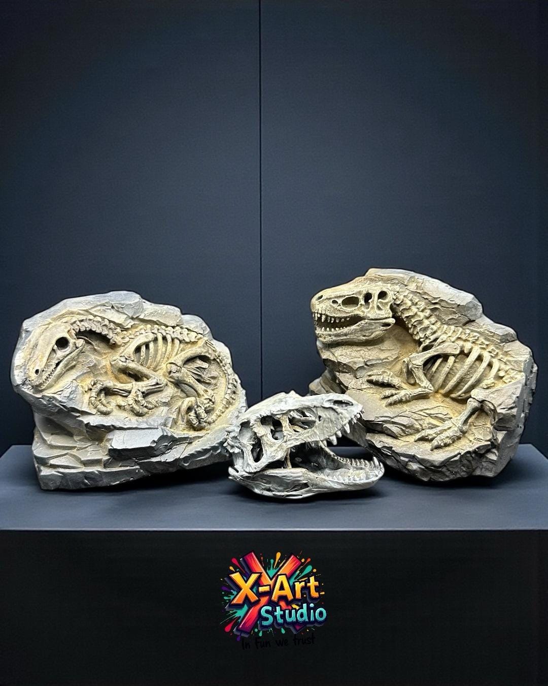 Hand-Painted T-Rex & Raptor Fossil Set – Exclusive Skull Replica Gift
