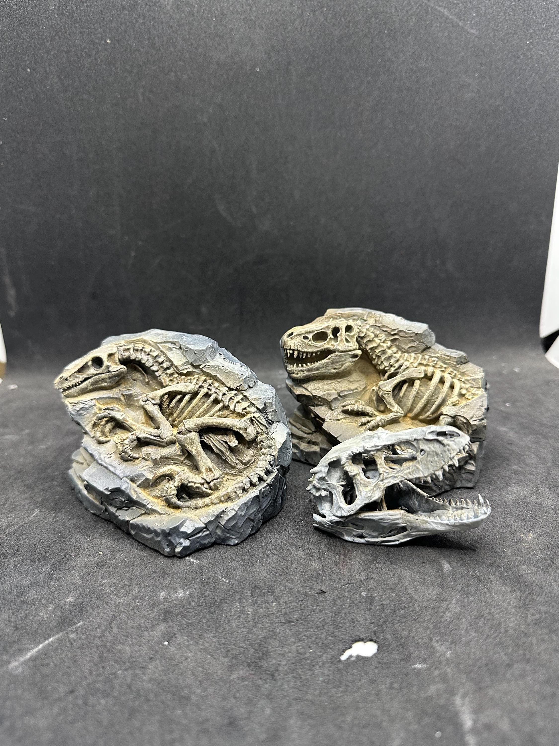 Hand-Painted T-Rex Fossil Sculpture – Museum Quality Paleontology Decor