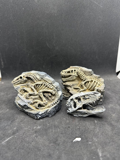 Hand-Painted T-Rex Fossil Sculpture – Museum Quality Paleontology Decor