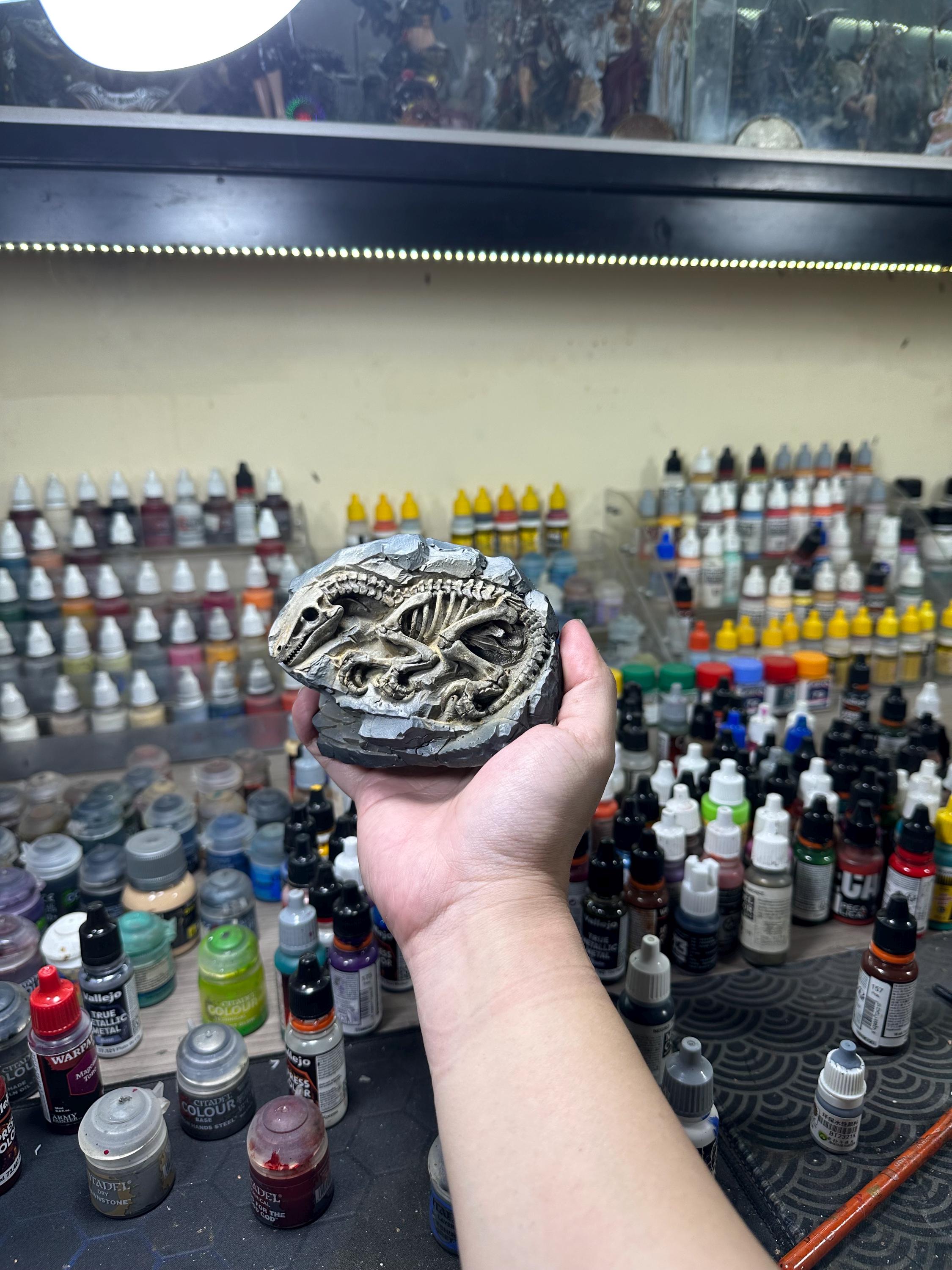 Hand-Painted Velociraptor Fossil Statue – Paleontology Desk Decor