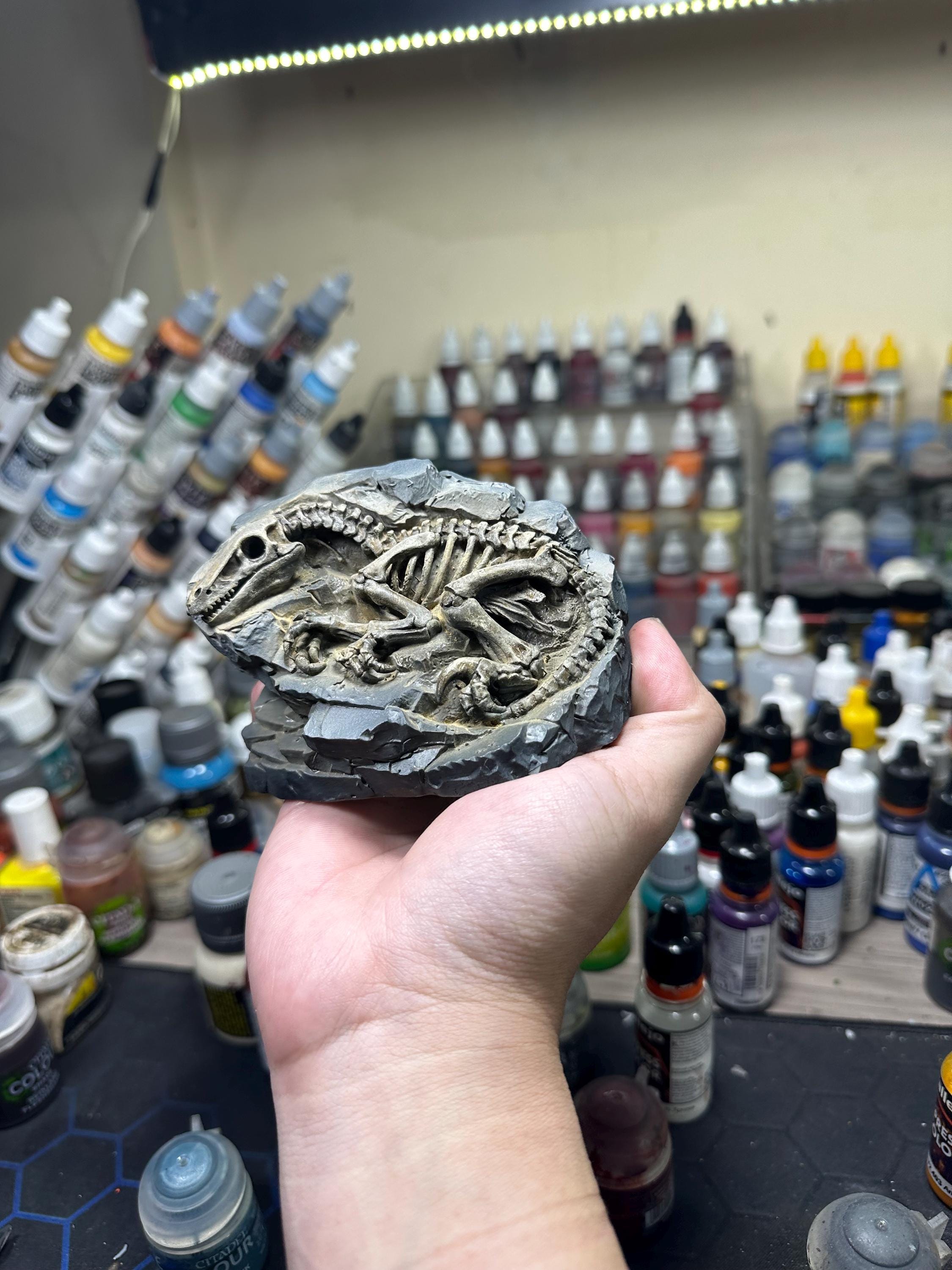 Hand-Painted Velociraptor Fossil Statue – Paleontology Desk Decor