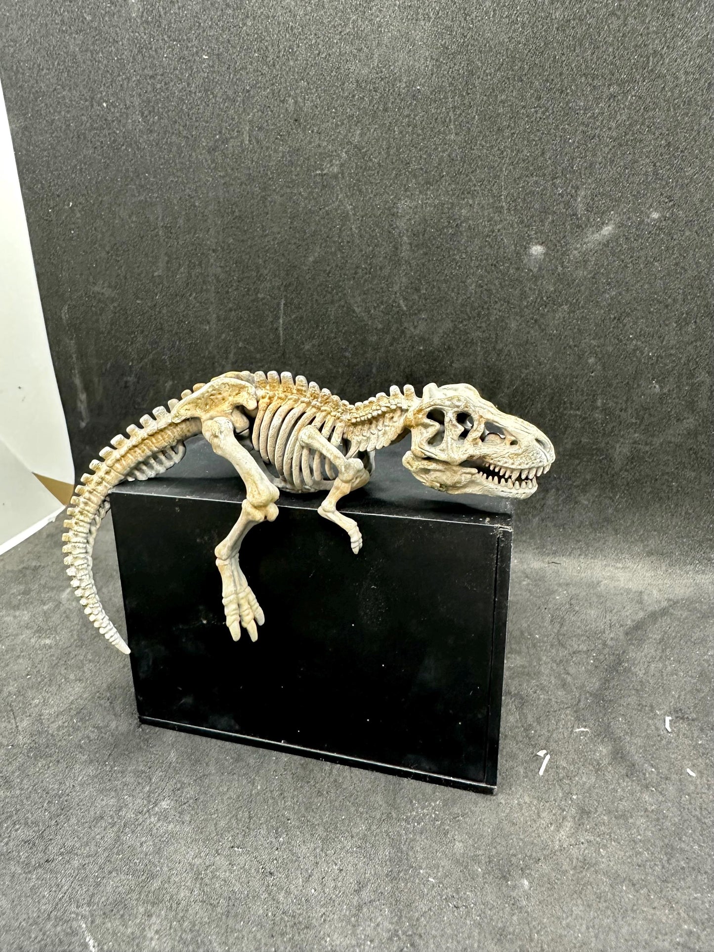 Dinosaur Skeleton Corner Decor – T-Rex Fossil Statue – Desk Setup Accessory – Monitor Corner Display – Resin Miniature – Gamer Room Decor