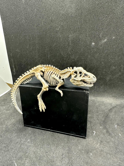 Dinosaur Skeleton Corner Decor – T-Rex Fossil Statue – Desk Setup Accessory – Monitor Corner Display – Resin Miniature – Gamer Room Decor