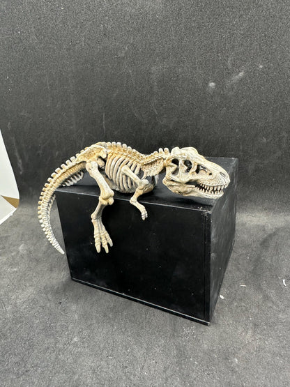 Dinosaur Skeleton Corner Decor – T-Rex Fossil Statue – Desk Setup Accessory – Monitor Corner Display – Resin Miniature – Gamer Room Decor