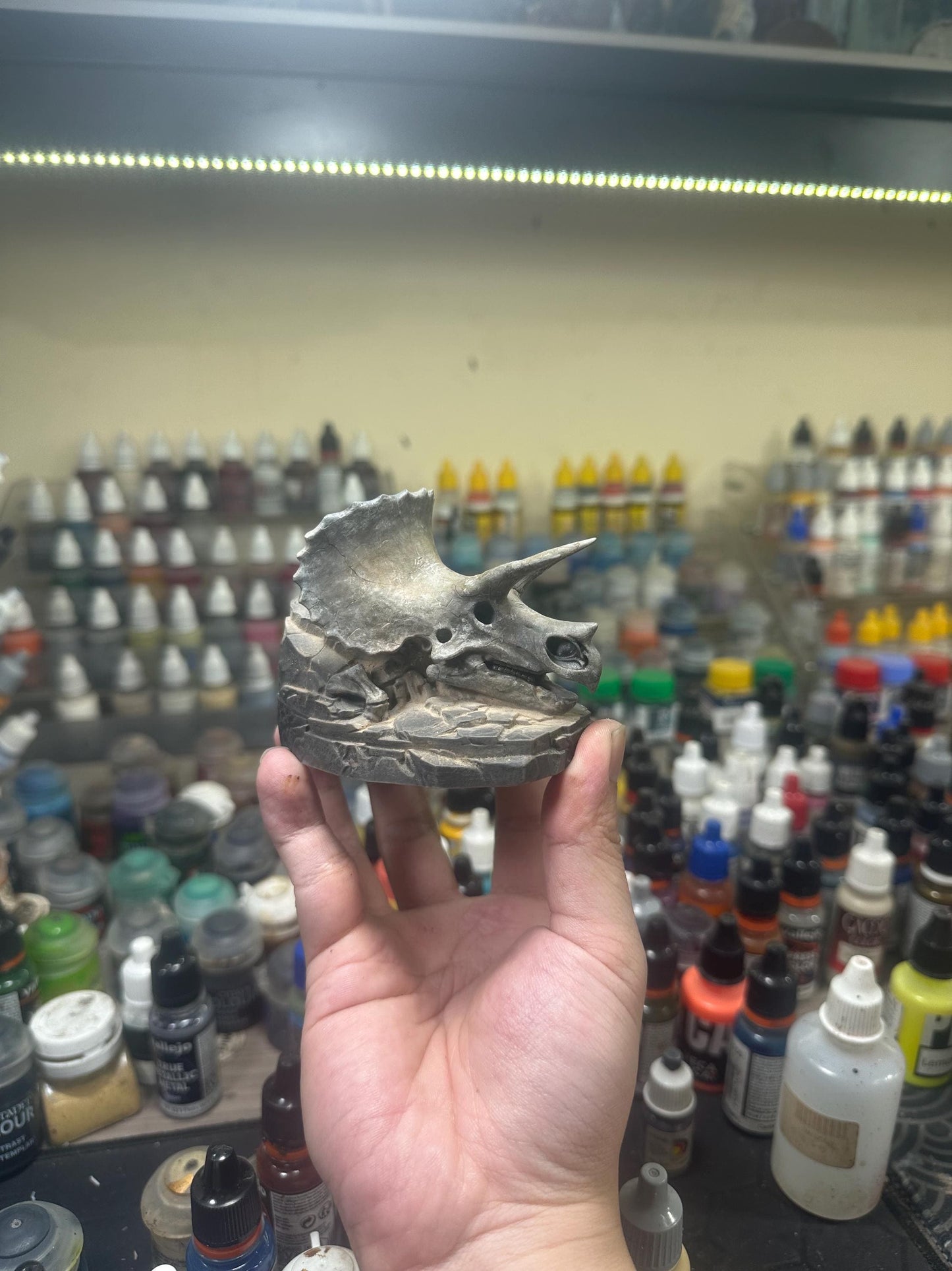 Triceratops Skull Fossil Statue – Hand Painted Dinosaur Skull Decor – Prehistoric Desk Ornament – Paleontology Gift