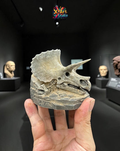 Triceratops Skull Fossil Statue – Hand Painted Dinosaur Skull Decor – Prehistoric Desk Ornament – Paleontology Gift