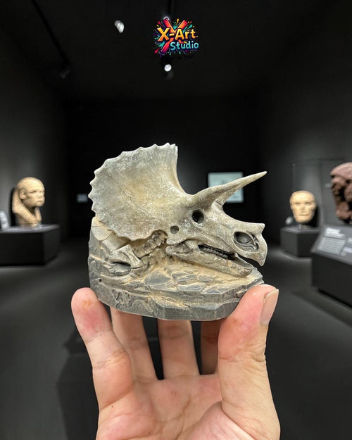 Triceratops Skull Fossil Statue – Hand Painted Dinosaur Skull Decor – Prehistoric Desk Ornament – Paleontology Gift